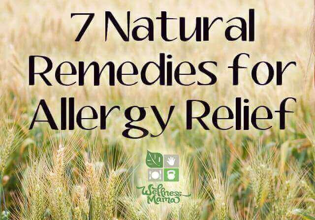  Remedies for Allergy Relief 7 Natural Remedies for Allergy Relief