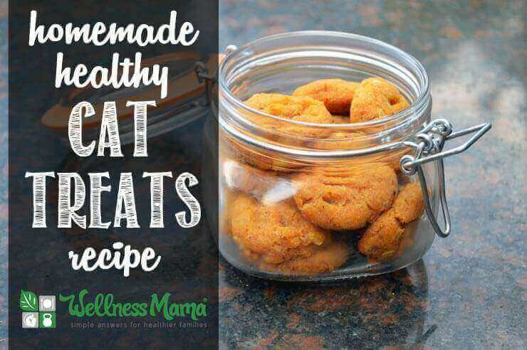 Healthy Homemade Cat Treats Recipe Wellness Mama
