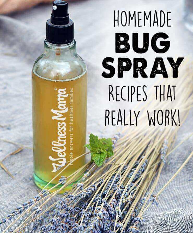 5 Homemade Bug Spray Recipes for Your Garden