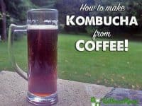 How to Make Kombucha from Coffee 200x150 How to Make Coffee Kombucha