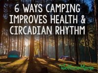 6 Ways Camping Improves Health & Circadian Rhythm