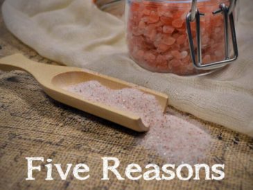 Cinq raisons de manger plus de sel