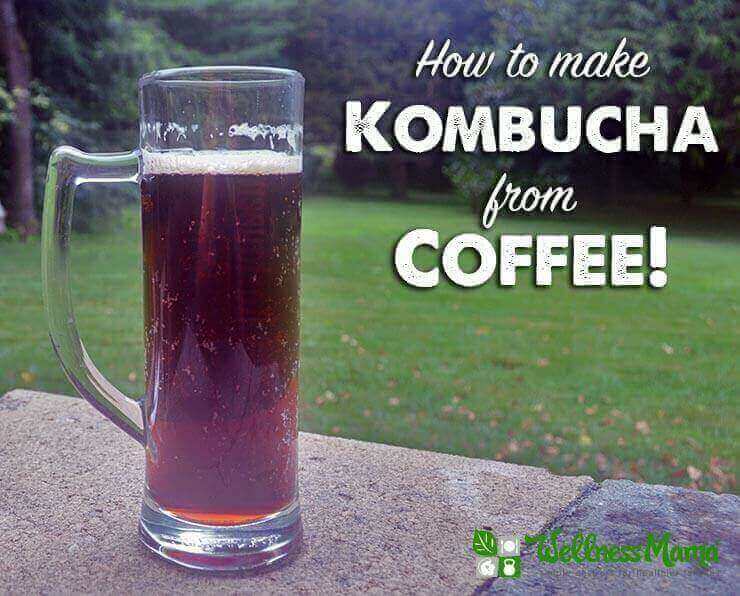 What are the dangers of making kombucha tea?