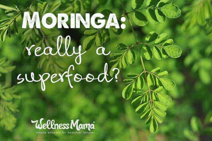 What is a moringa?