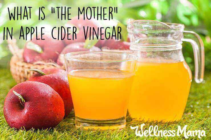 Apple Cider Vinegar Diet Does It Work